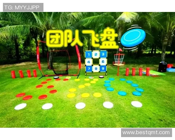 飞盘的魅力与挑战上海飞盘队的成长与蜕变之旅