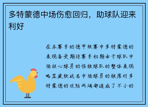 多特蒙德中场伤愈回归，助球队迎来利好