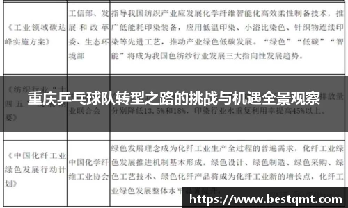 重庆乒乓球队转型之路的挑战与机遇全景观察